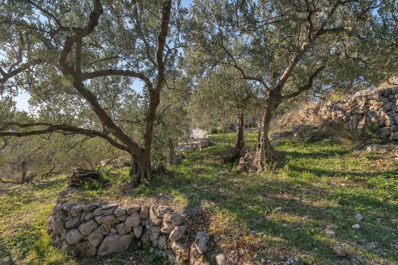 The Art Of Mediterranean Living Makarska Eksteriør billede